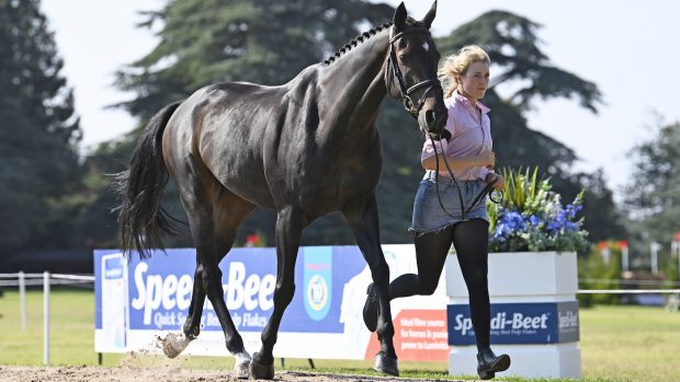 Blenheim Horse Trials first trot-up