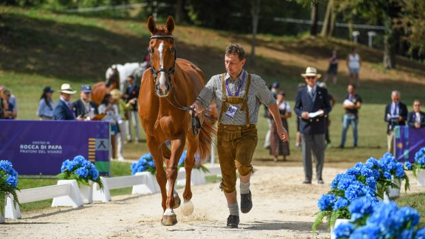 Eventing World Championships trot-up photos: Harald Ambros and Mountbatton 2