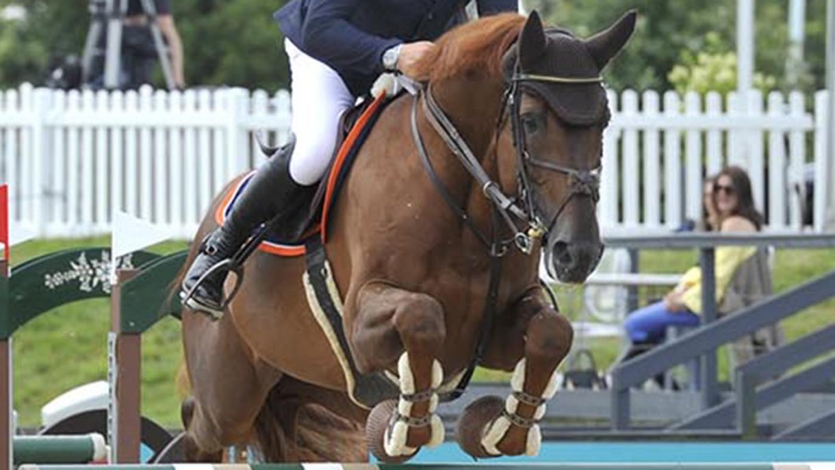 Joe Stockdale top stallion Ebanking to his showjumping string