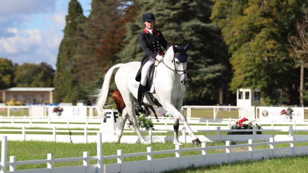 Blenheim Horse Trials Piggy March and Halo head the young horse CCI4*-S dressage