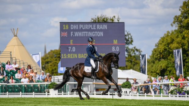 Burghley Horse Trials: Francis Whittington and DHI Purple Rain