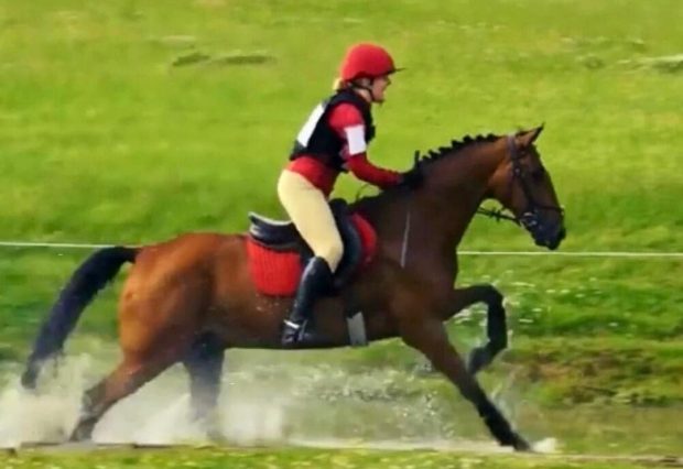 A hackney gelding who excels in eventing has received the Hackney Horse Society 2022 performance award
