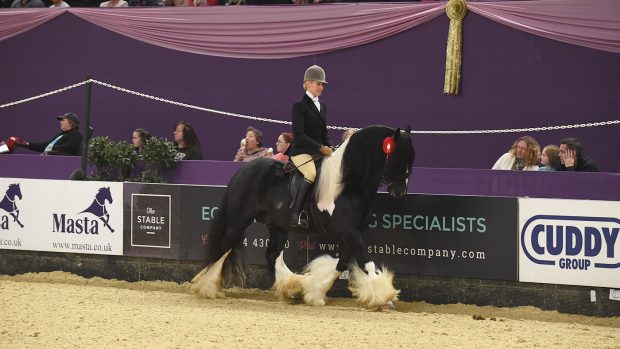 Sue-Helen Shuttleworth and Boston, now with elite status after shock grading