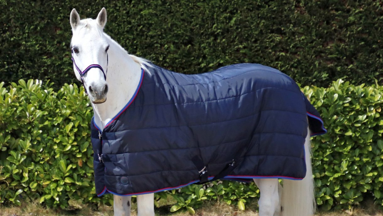 Best stable rugs for keeping your horse warm this winter Horse & Hound