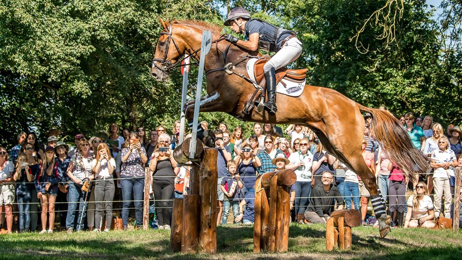 Burghley Horse Trials cross-country: Tim Price and Bango