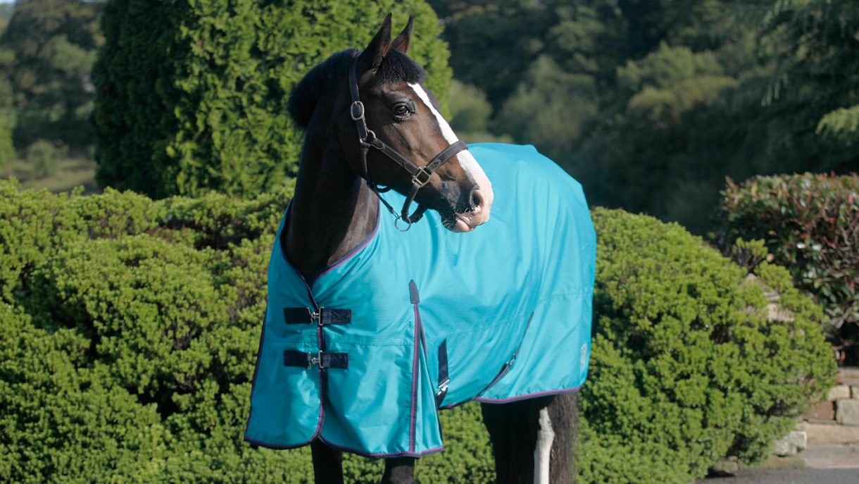 Best rain sheets for horses to protect from showers Horse & Hound