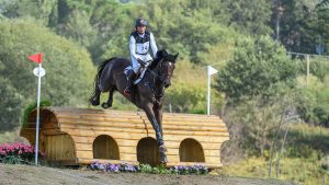 Eventing World Championships cross-country