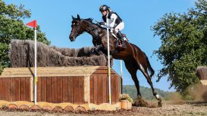 Eventing World Championships cross-country