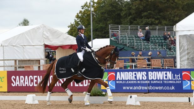 National Dressage Championships preliminary gold
