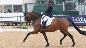 National Dressage Championships advanced medium gold