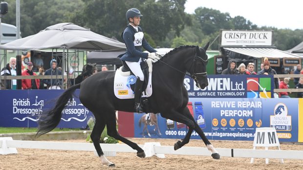 National Dressage Championships five-year-old