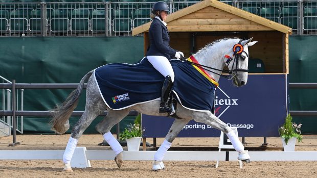 national dressage championships advanced medium silver