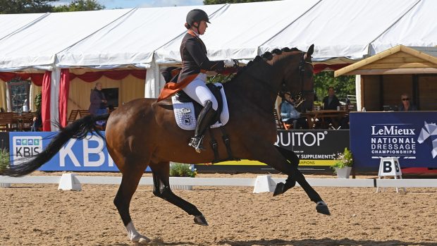 national dressage championships inter I gold