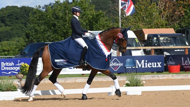 National Dressage Championships novice gold title