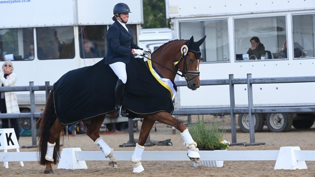 national dressage championships elementary silver