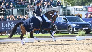 National Dressage Championships seven-year-old