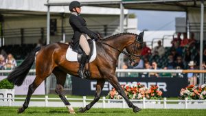 Phoebe Buckley and Tiger Mail in the dressage phase at Burghley Horse Trials