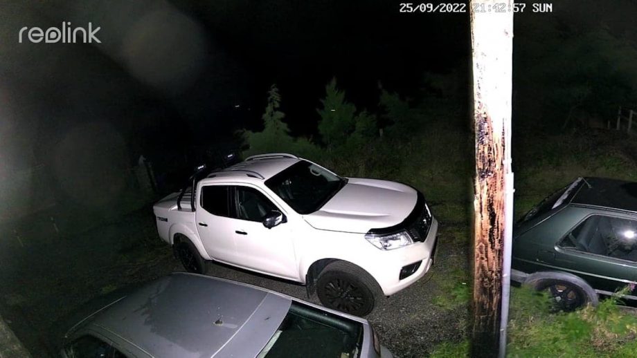 Reolink Duo 2 Outdoor Security Camera image capture