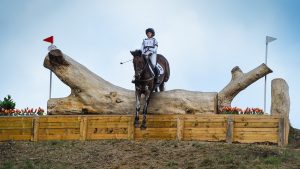 World Eventing Championships cross-country