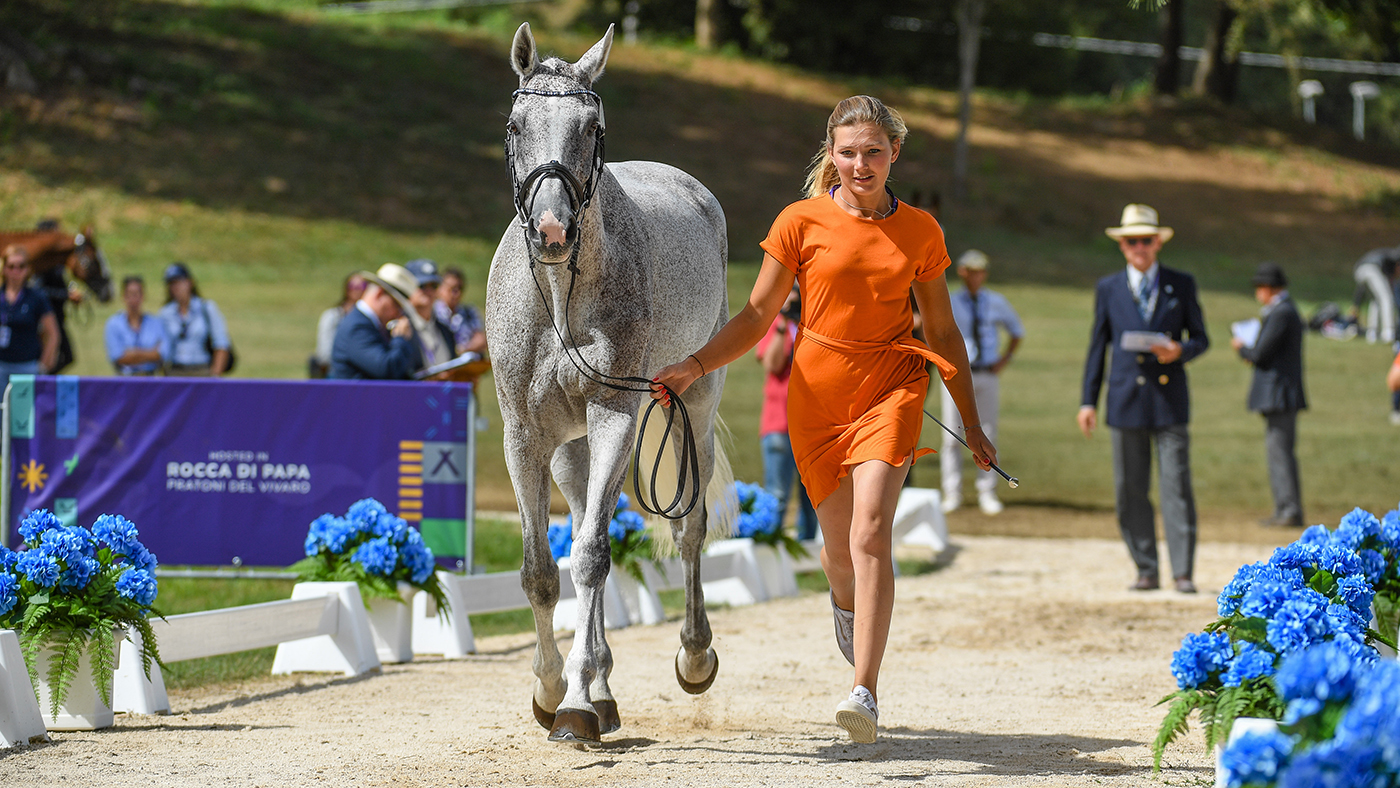 Eventing World Championships trot-up photos: Sanne de Jong and Enjoy