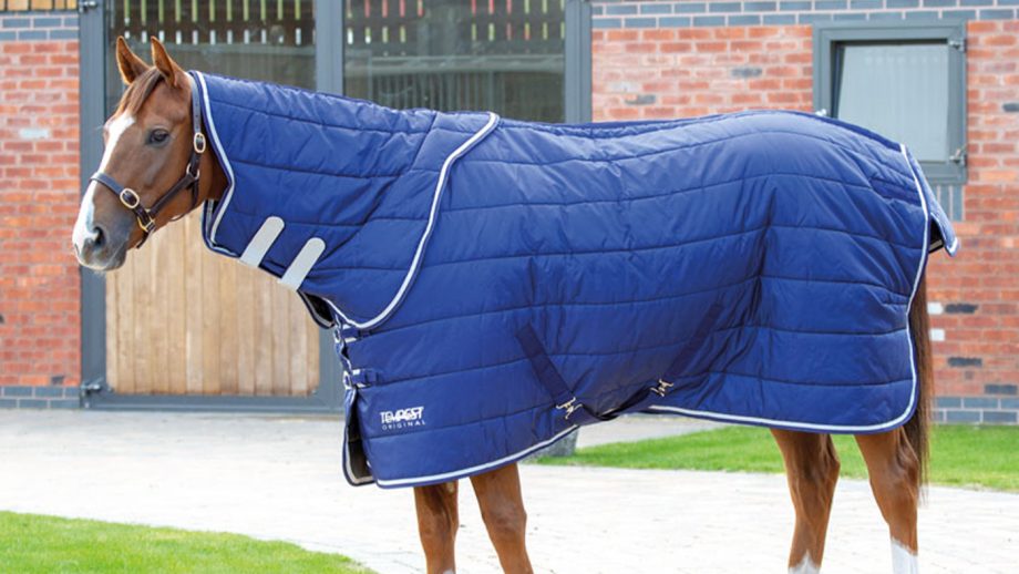 Cheap horse rugs for shopping on a budget Horse & Hound