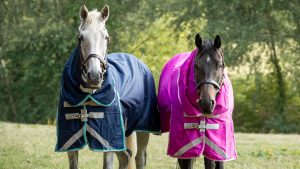 Two horses wearing Swish Equestrian medium weight turnout rugs