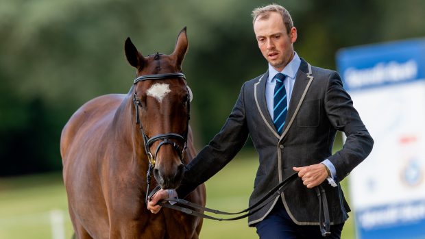 Blenheim Horse Trials final trot-up