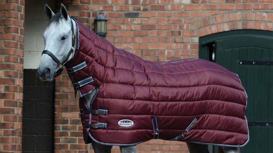 Cheap horse rugs for shopping on a budget Horse & Hound