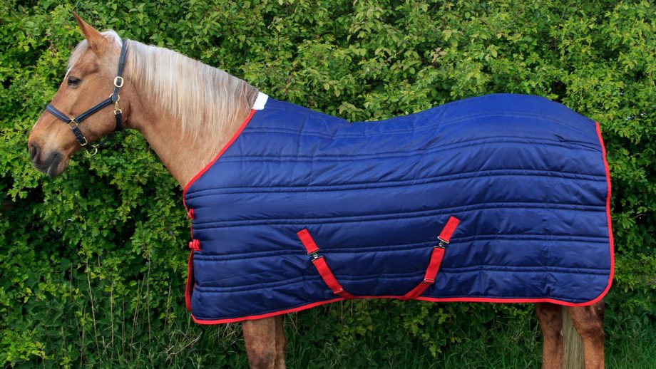 Cheap horse rugs for shopping on a budget Horse & Hound