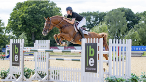 Top lot at the Breen Equestrian auction, Z7 Porsche