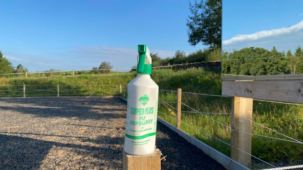 Super Plus fly spray bottle