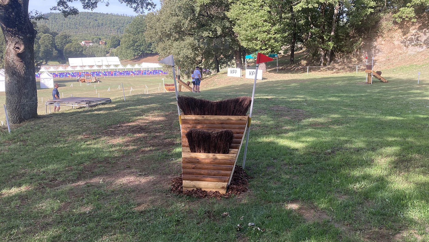Eventing World Championships cross-country course: fence 7b long route
