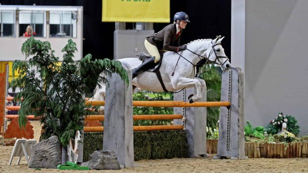 143cm working hunter pony