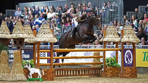 HOYS 153cm working hunter pony