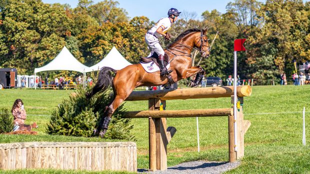 Maryland 5 Star cross-country: Harry Meade and Superstition
