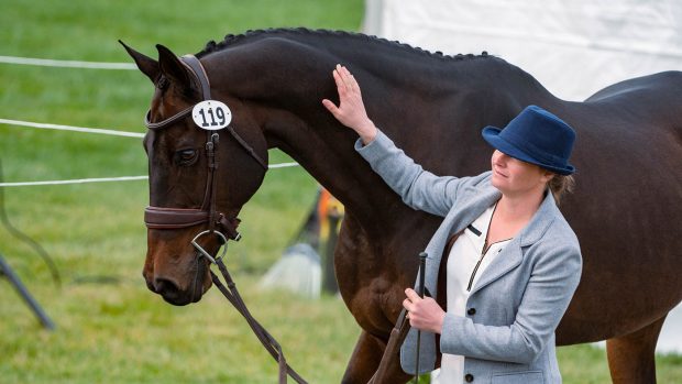 Maryland 5 Star final trot-up: Hannah Sue Hollberg and Harbour Pilot