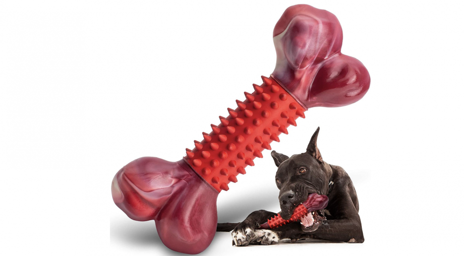 Long lasting dog chews to keep your dog happy and occupied all day long