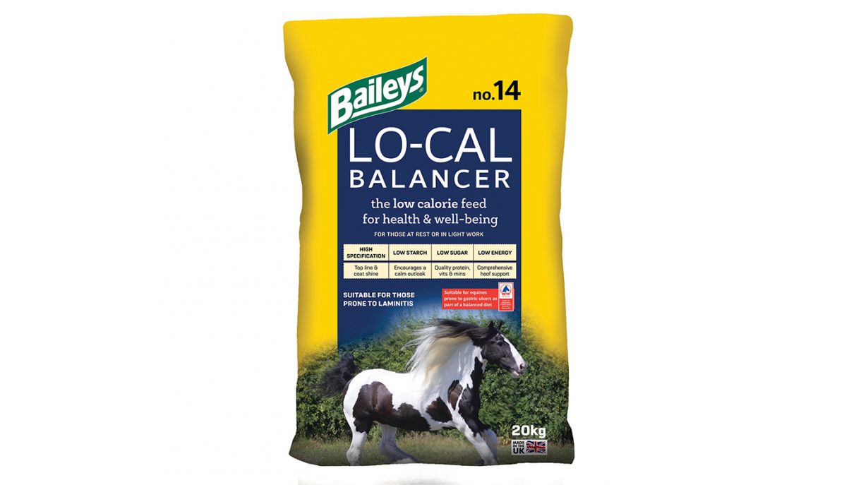 Feeds for horses with ulcers what are your options? Horse & Hound
