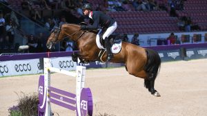 Ben Maher and Faltic HB, who contest the Global Champions Tour final this week