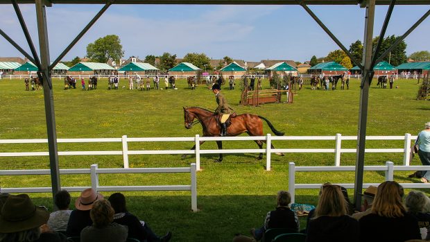 A showing class at Royal Cornwall.