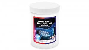 Equine America Pro Gut Balancer