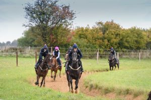 Horses to follow: on the gallops with Fergal O'Brien