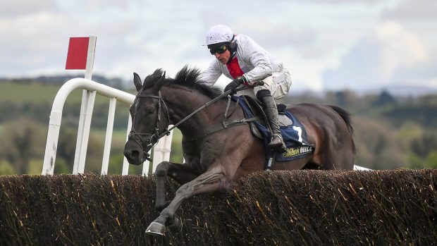 Dan Skelton horses to follow - Nube Negra Harry Skelton