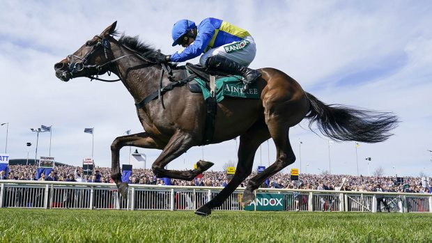 Pictured jockey Harry Skelton and racehorse Langer Dan.