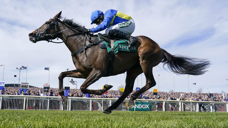 Pictured jockey Harry Skelton and racehorse Langer Dan.