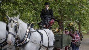 Shire horses collect floral tributes left in honour of The Queen in Green Park and Hyde Park