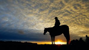 Horse owners have been encourage to have difficult conversations around their wishes and plans for their horses after they die