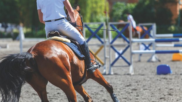 Find out how to get started in affiliated showjumping with this helpful guide