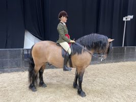 HOYS Highland