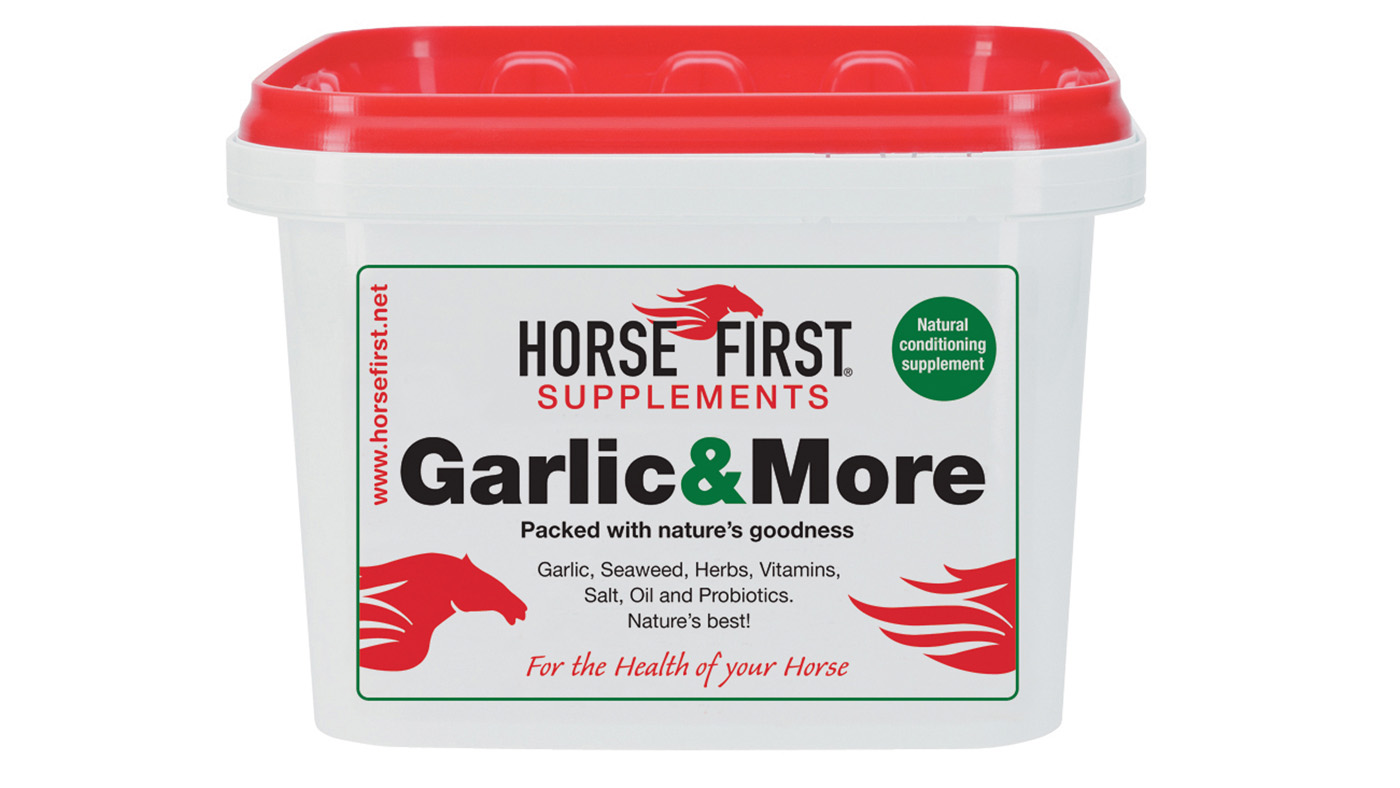 Horse First Garlic&More